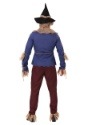 Adult Plus Size Patchwork Scarecrow Costumeback