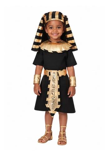 Toddler Egyptian Pharaoh Costume new