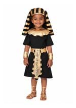 Toddler Egyptian Pharaoh Costume new