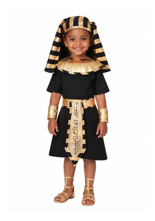 Toddler Egyptian Pharaoh Costume new