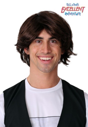 Bill Ted s Excellent Adventure Ted Wig for Adults