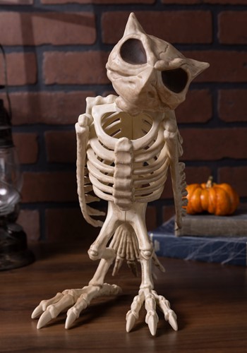 14-Inch Owl Skeleton Bones Decoration | Animal Skeletons