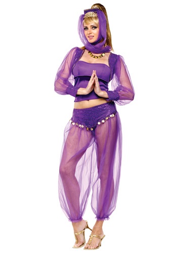 Dreamy Genie Costume image