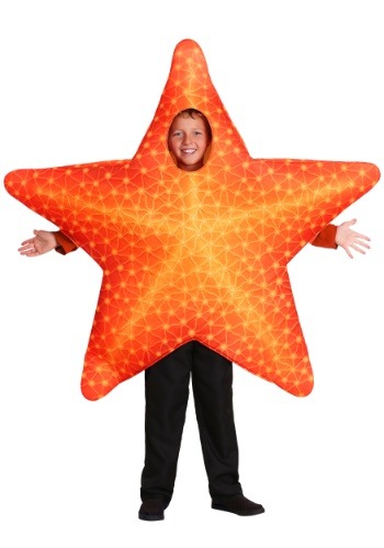 Adult Starfish Costume  Starfish costume, Star costume, Mens halloween  costumes