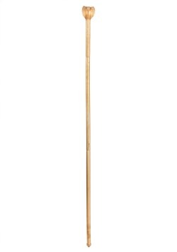 Snake Staff