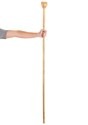 Snake Staff
