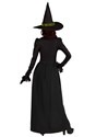 Women's Fairytale Witch Costume