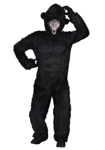 https://images.halloweencostumes.com/products/45145/1-2/gorilla-costume-child.jpg