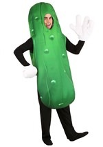 Adult Pickle Costume1