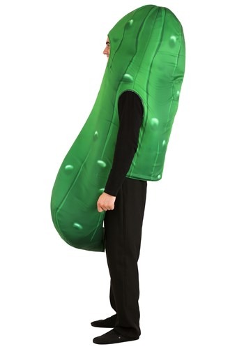 Adult Pickle Costume | Food Halloween Costumes