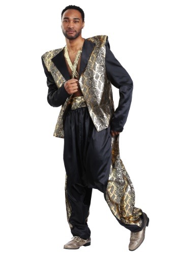 Plus Size Can't Touch This Pop Star Costume