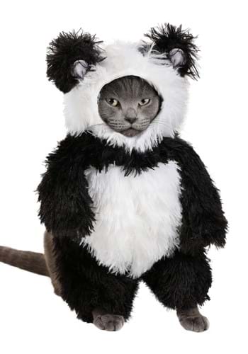 Panda Costume for a Dog