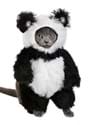 Dog Panda Costume Alt 1