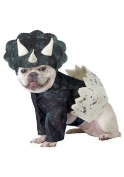 Dog Dino Pup Costume