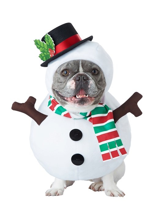 Dog Snowman Costume Update 1