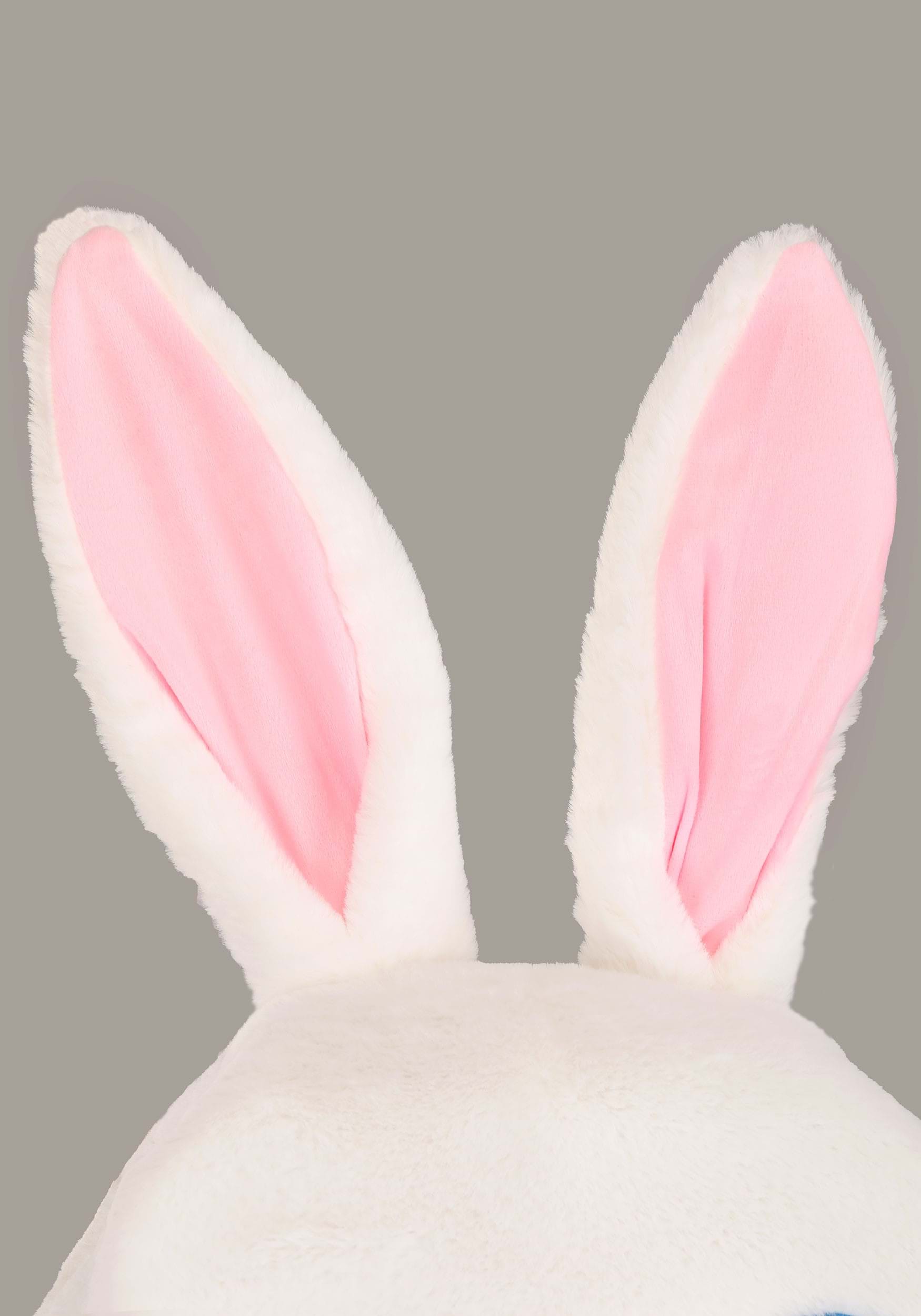 Bunny Ears - Mascots