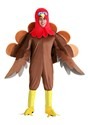 Wild Turkey Adult Costume