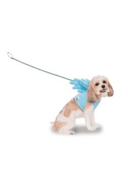 Pet Rainbow Dash Costume