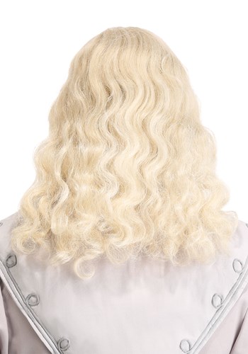 Headmaster Wizard Adult Costume Wig and Beard | Movie Accessories