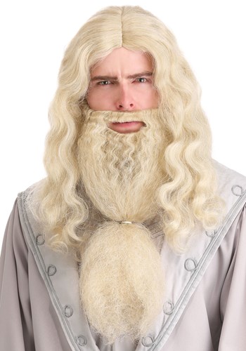Headmaster Wizard Adult Wig and Beard