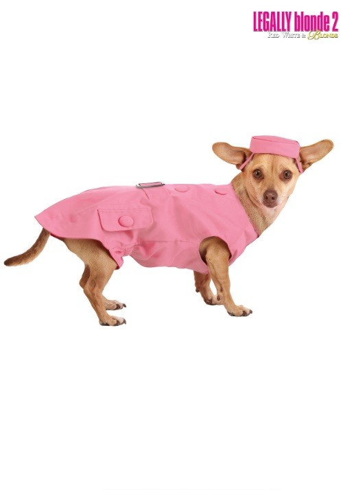 Bruiser Dog Costume Legally Blonde 2