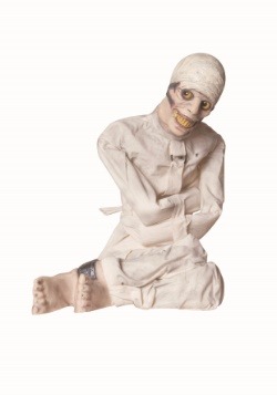 Animated Insane Asylum Decoration