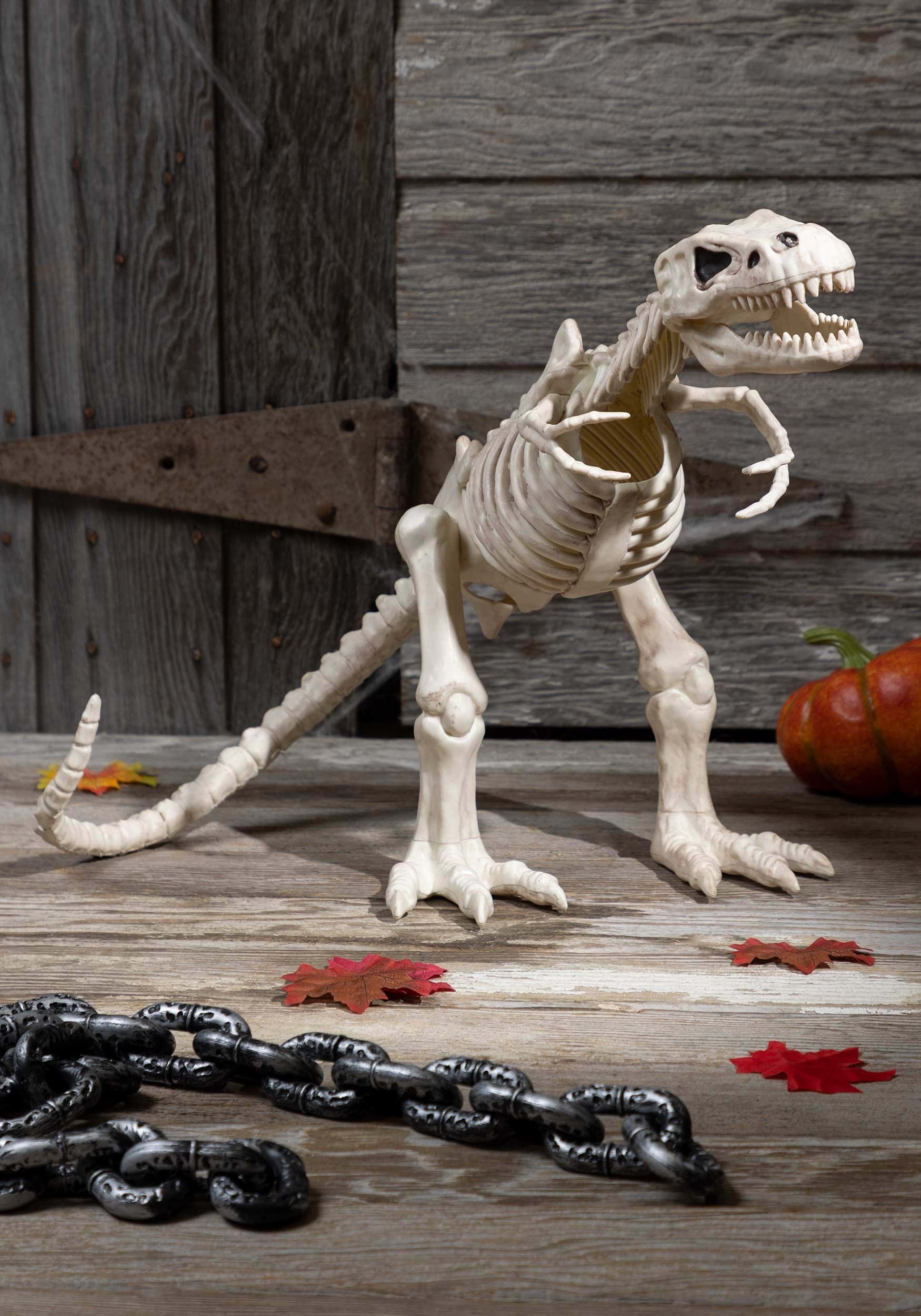 T-Rex Skeleton 16\