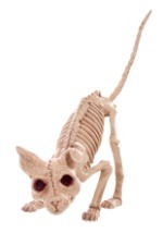 7.5" Kitty Skeleton