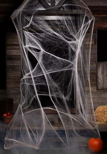 400 Square Feet Spider Web