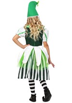 Munchkin Girl Deluxe Costume Alt 2