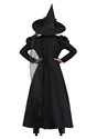 Kids Deluxe Witch Costume Alt 1
