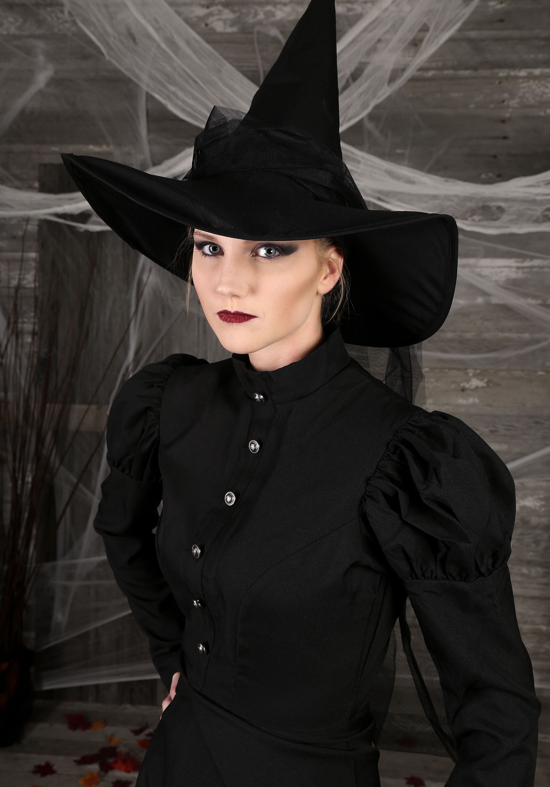 Women S Plus Size Witch Costume Evil Witch Costume