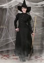 Womens Witch Plus Costume  Alt 1