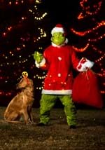 The Grinch Santa Deluxe Jumpsuit with Mask Alt 1