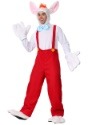 Bugs Bunny Costume