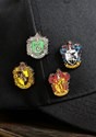 Harry Potter Hufflepuff House Pin alt1