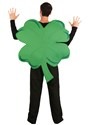 Four Leaf Clover Costume3
