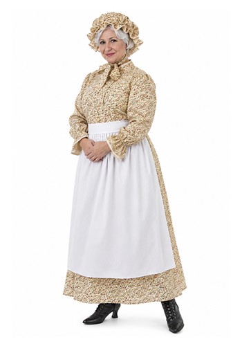 Plus Size Auntie Em Women's Costume Dress | Movie Costumes