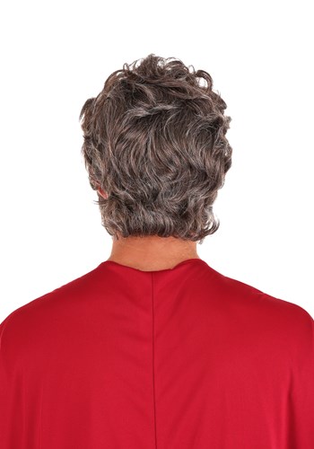 Biblical Moses Costume Wig and Beard for Adults | Religious Accessories