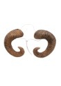 Adult Ram Horns3