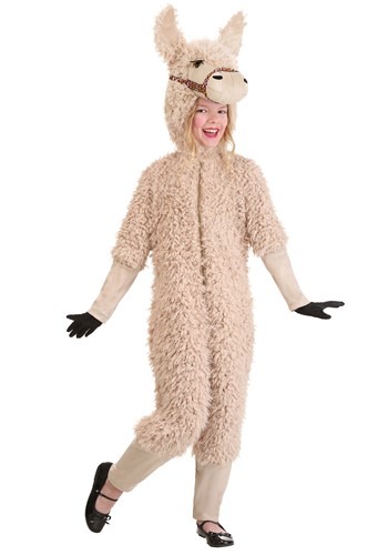 Kid's Llama Costume