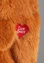 Care Bears Infant Tenderheart Bear Costume Alt 1