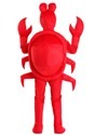 Kids Crab Costume Alt 1