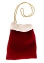 Santa Sack Purse alt 2