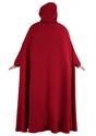 Handmaid's Tale Deluxe Womens Plus Size Costume2