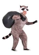 Plus Size Realistic Raccoon Costume Main 2