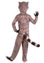 Adult Realistic Raccoon Costume Back