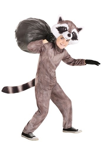 Raccoon Costumes Adult Sexy Raccoon Costume Ideas 1113