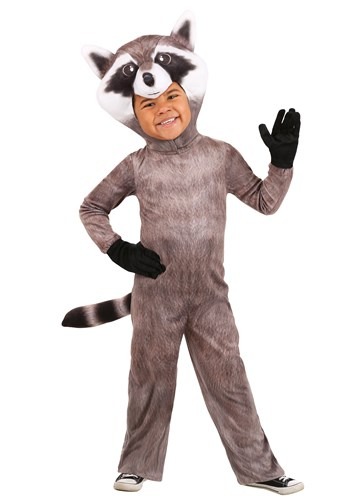 Raccoon Costumes Adult Sexy Raccoon Costume Ideas 