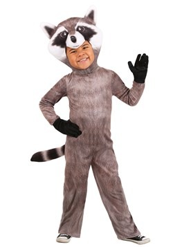 Adult's Raccoon Poncho Costume Accessory 71765124980